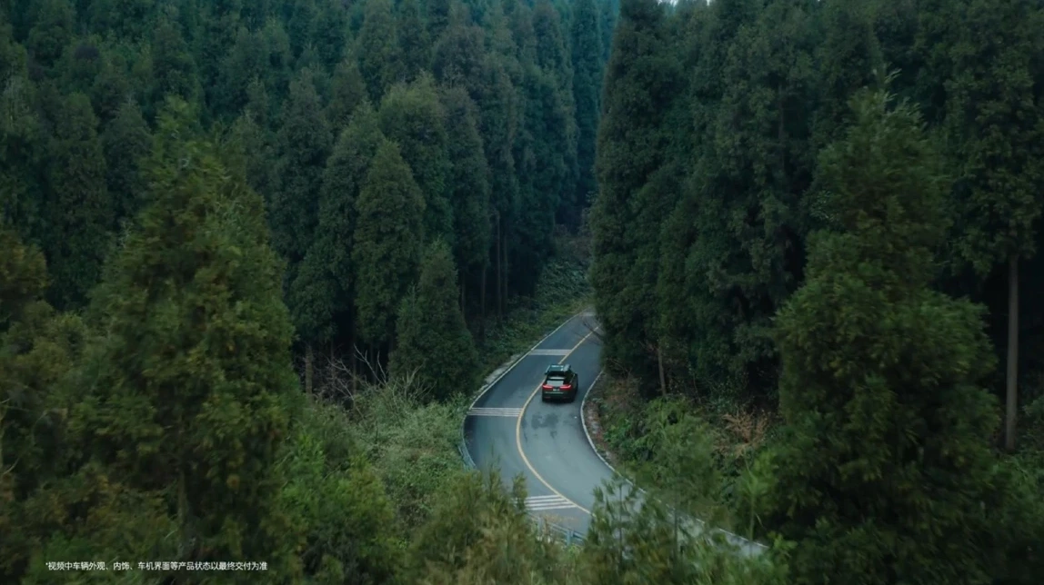Automotive Story — Bringing a Bird Home
